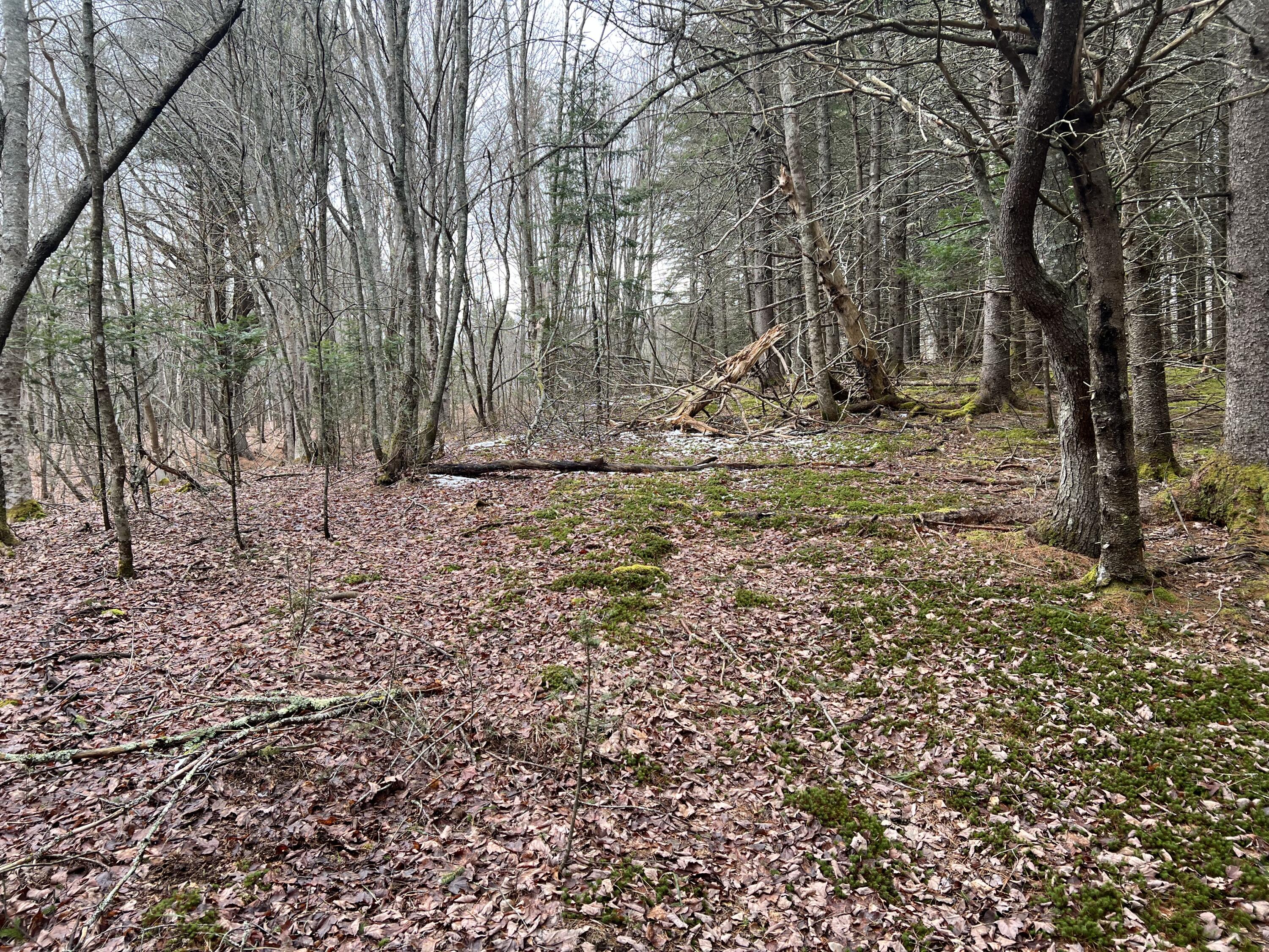 0 Kansas Road Milbridge ME 04658