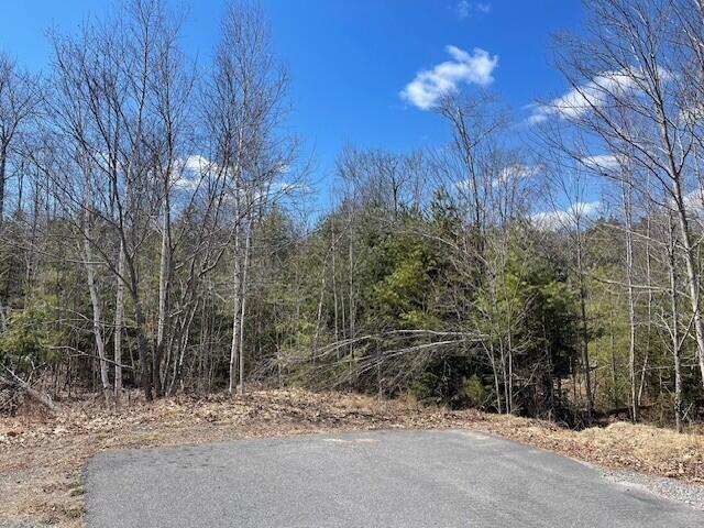 5 Sophies Way Brunswick ME 04011