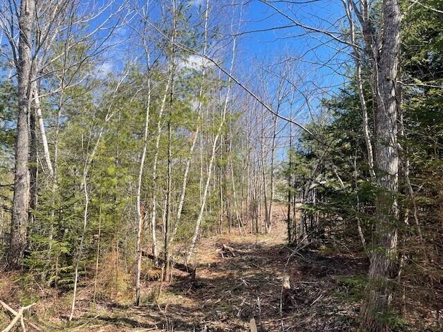 5 Sophies Way Brunswick ME 04011