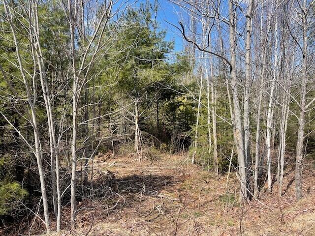 5 Sophies Way Brunswick ME 04011