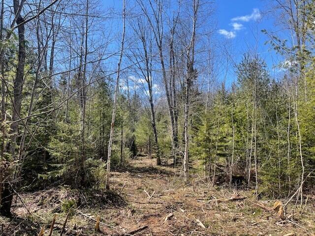 5 Sophies Way Brunswick ME 04011