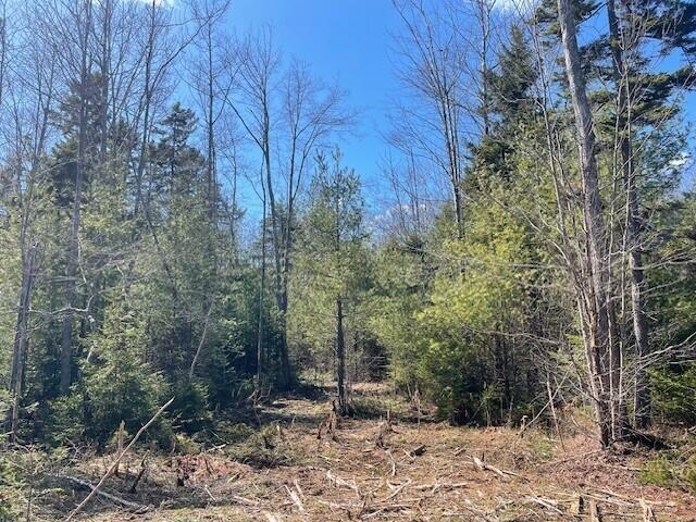 5 Sophies Way Brunswick ME 04011