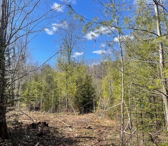 5 Sophies Way Brunswick ME 04011