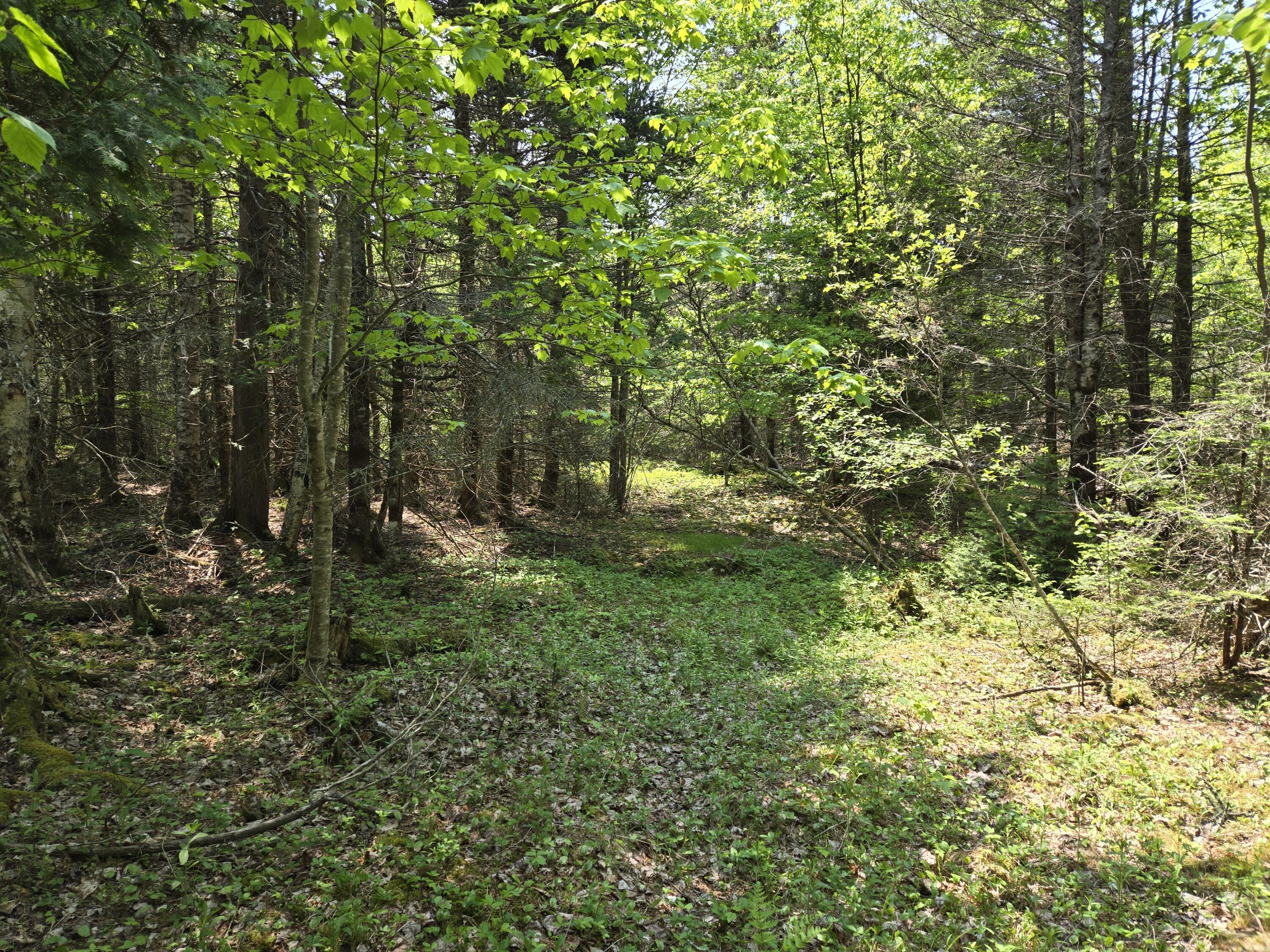 0 Map Wa032 Plan 01 Lot 103.1 Trescott Twp ME 04652