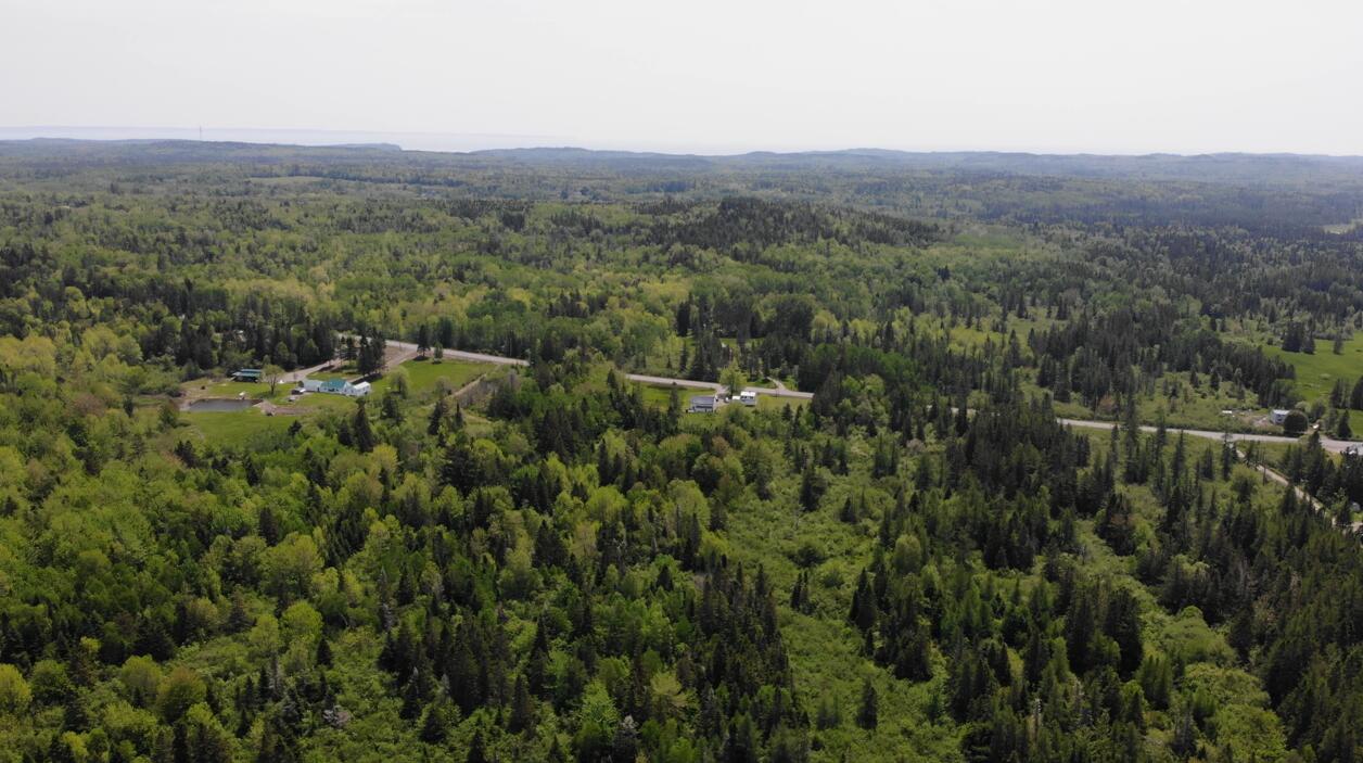 0 Map Wa032 Plan 01 Lot 103.1 Trescott Twp ME 04652