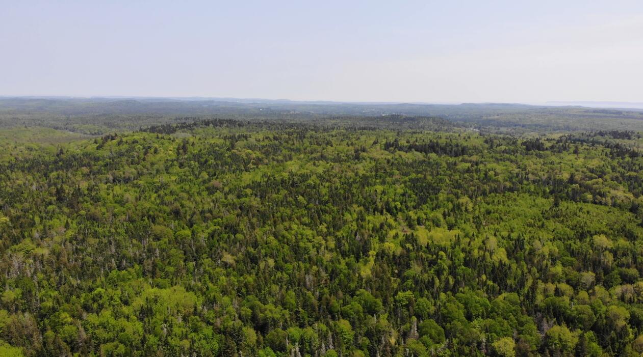 0 Map Wa032 Plan 01 Lot 103.1 Trescott Twp ME 04652