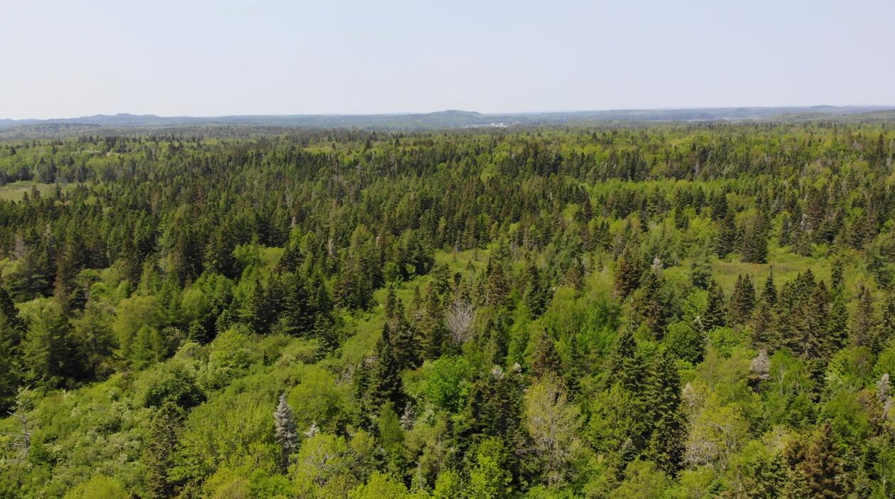 0 Map Wa032 Plan 01 Lot 103.1 Trescott Twp ME 04652