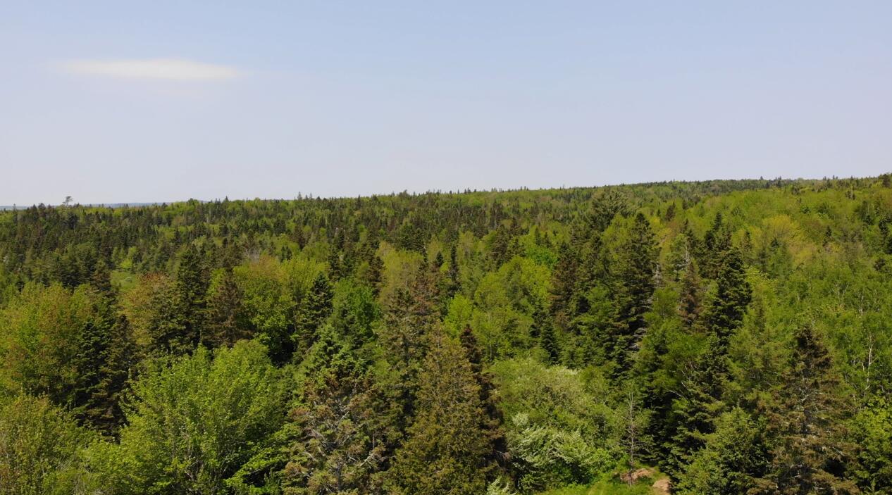 0 Map Wa032 Plan 01 Lot 103.1 Trescott Twp ME 04652