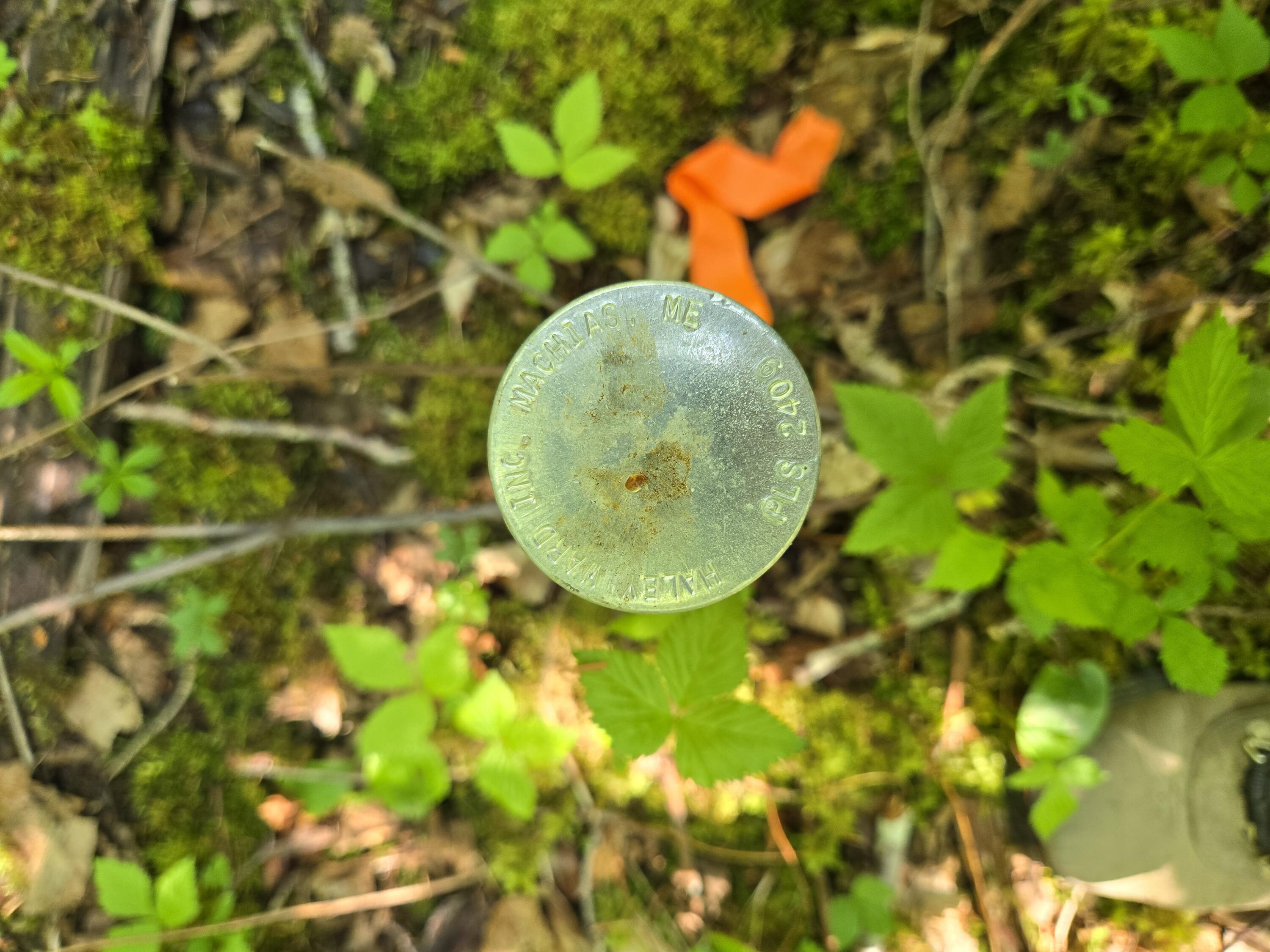 0 Map Wa032 Plan 01 Lot 103.1 Trescott Twp ME 04652