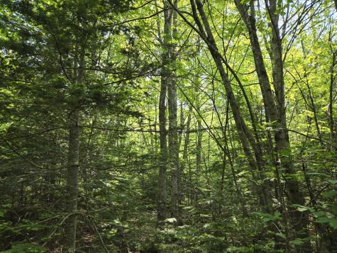 0 Map Wa032 Plan 01 Lot 103.1 Trescott Twp ME 04652