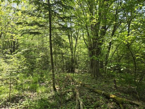 0 Map Wa032 Plan 01 Lot 103.1 Trescott Twp ME 04652