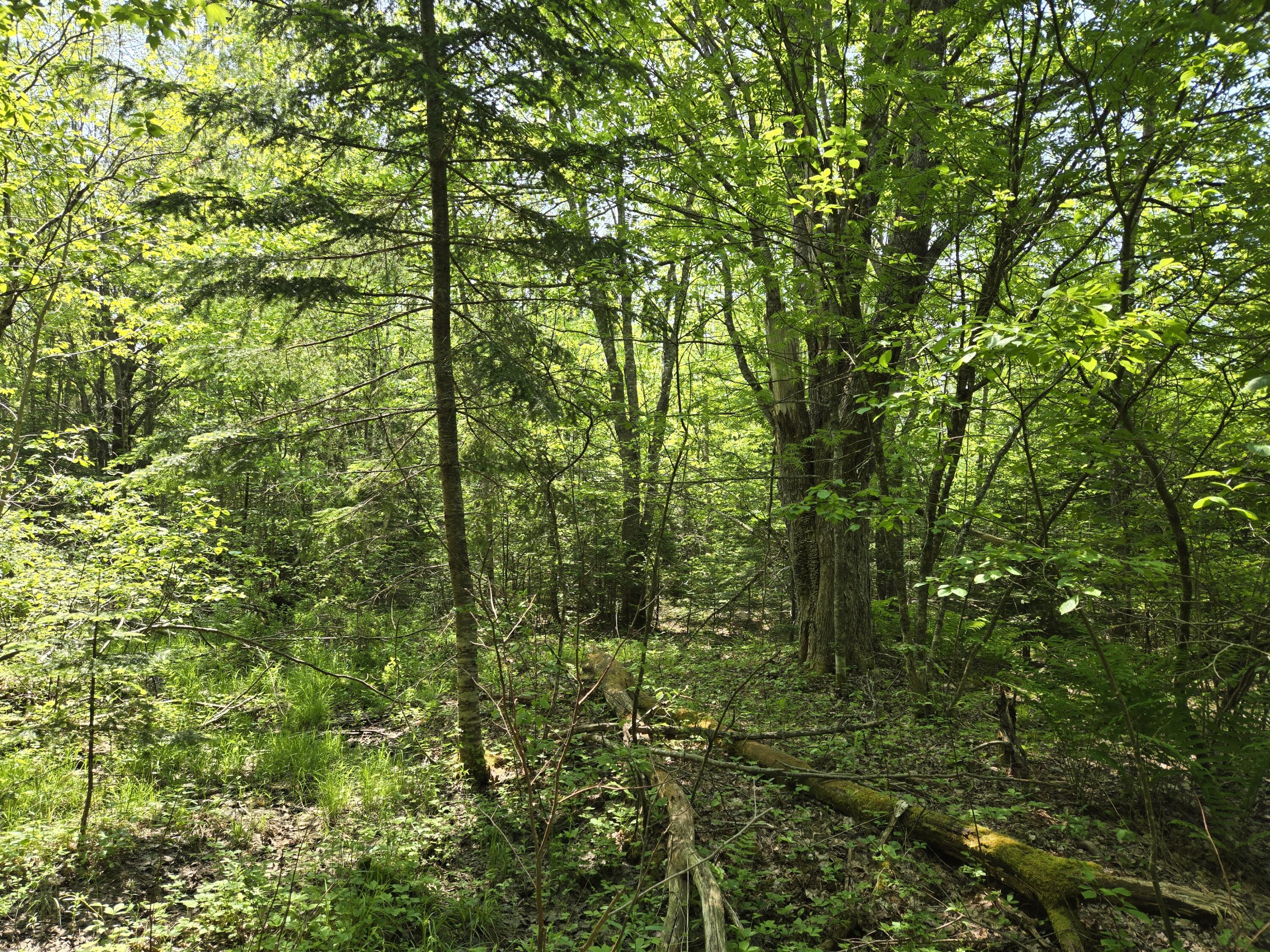 0 Map Wa032 Plan 01 Lot 103.1 Trescott Twp ME 04652