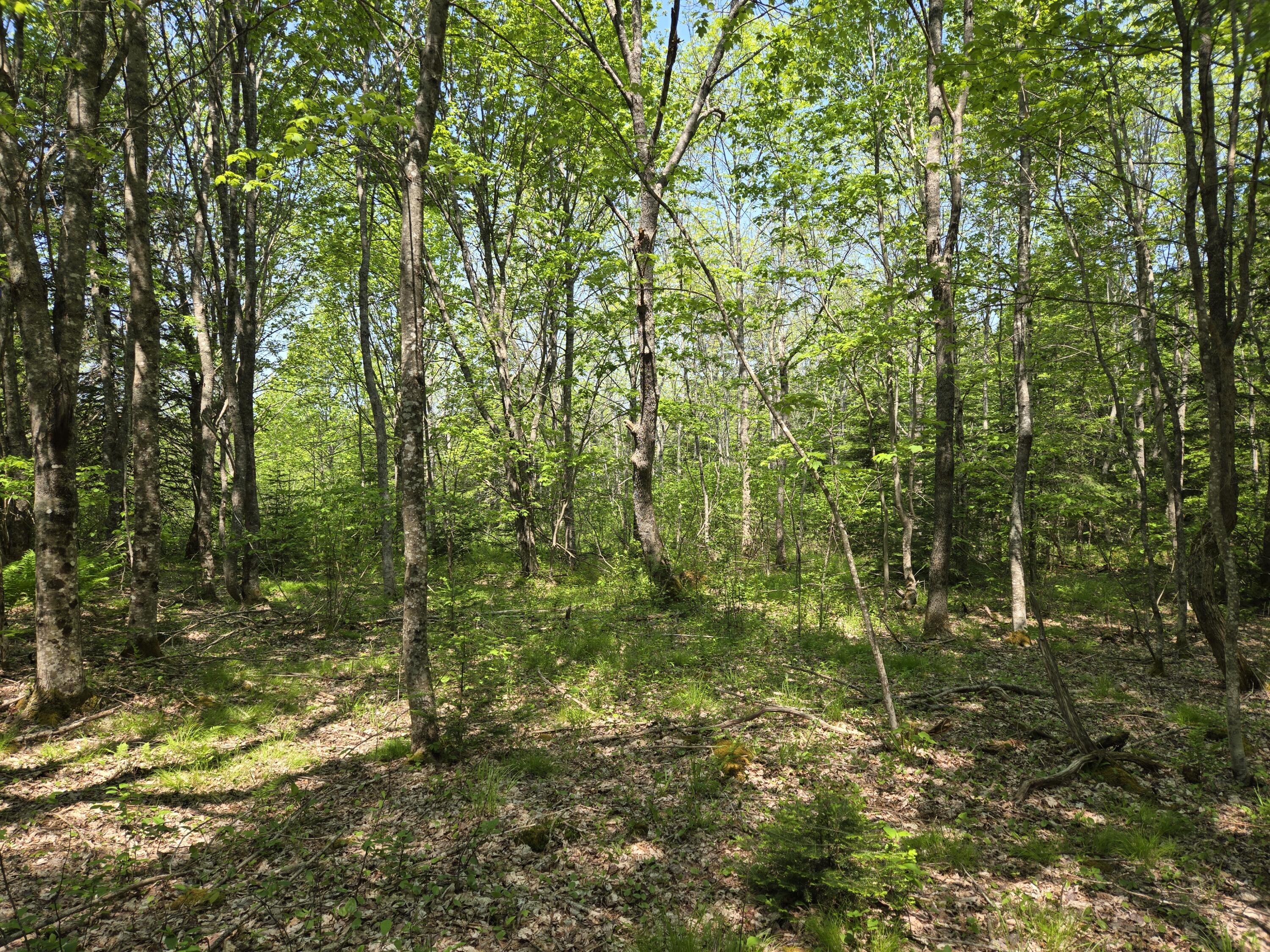 0 Map Wa032 Plan 01 Lot 103.1 Trescott Twp ME 04652