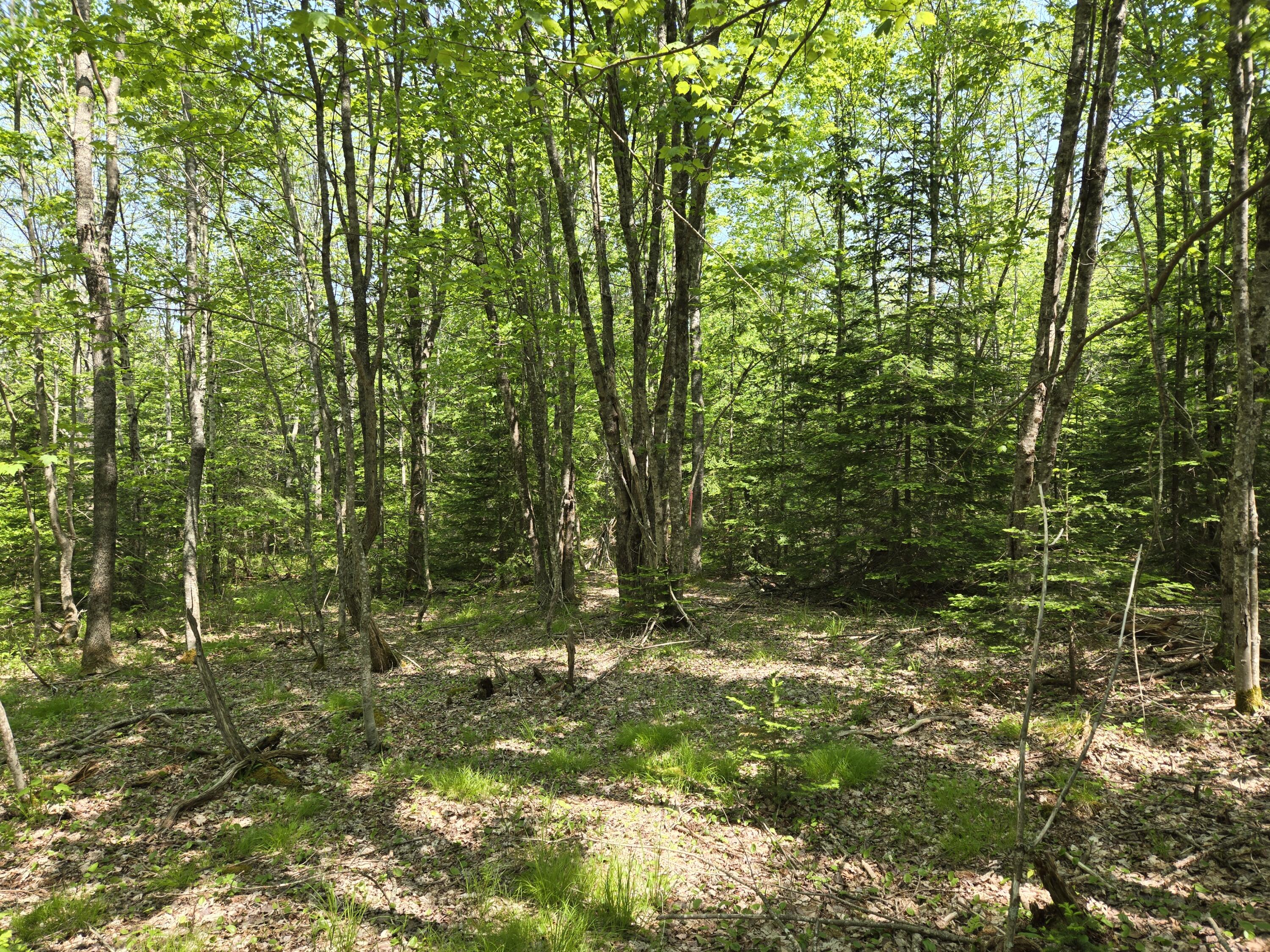 0 Map Wa032 Plan 01 Lot 103.1 Trescott Twp ME 04652