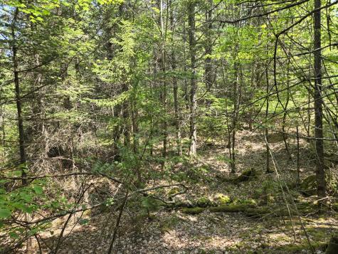 0 Map Wa032 Plan 01 Lot 103.1 Trescott Twp ME 04652