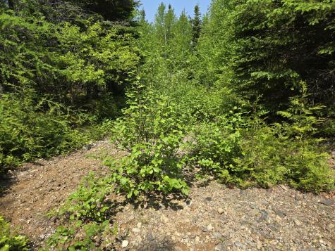 0 Map Wa032 Plan 01 Lot 103.1 Trescott Twp ME 04652
