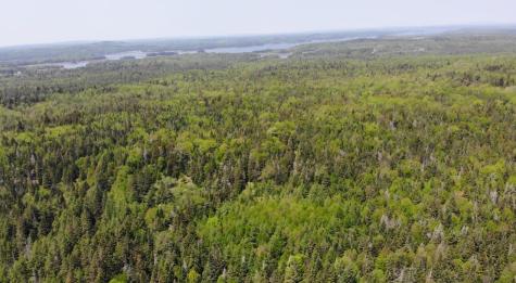 0 Map Wa032 Plan 01 Lot 103.1 Trescott Twp ME 04652
