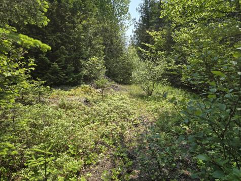 0 Map Wa032 Plan 01 Lot 103.1 Trescott Twp ME 04652
