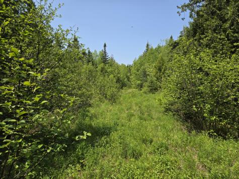 0 Map Wa032 Plan 01 Lot 103.1 Trescott Twp ME 04652
