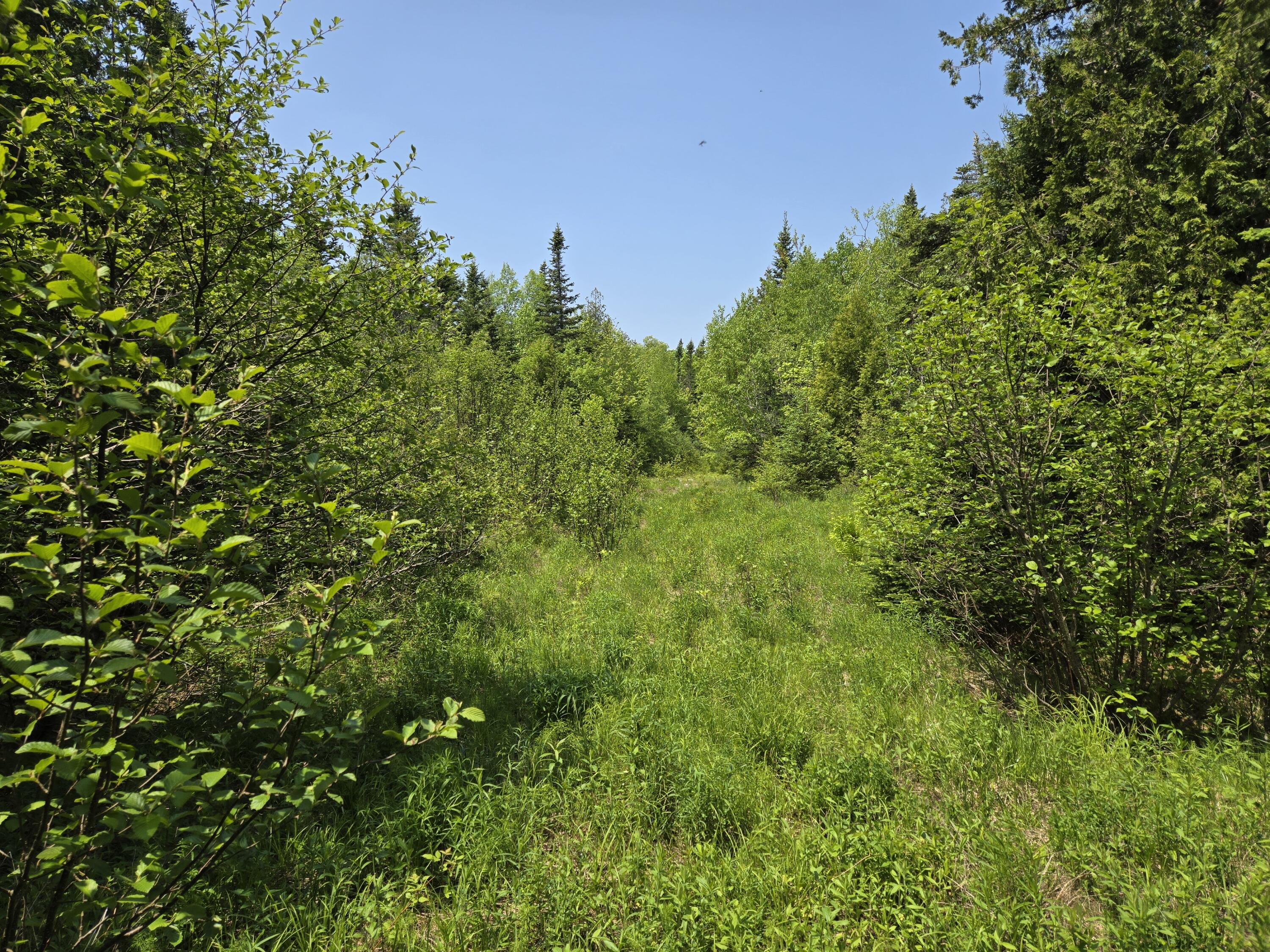 0 Map Wa032 Plan 01 Lot 103.1 Trescott Twp ME 04652