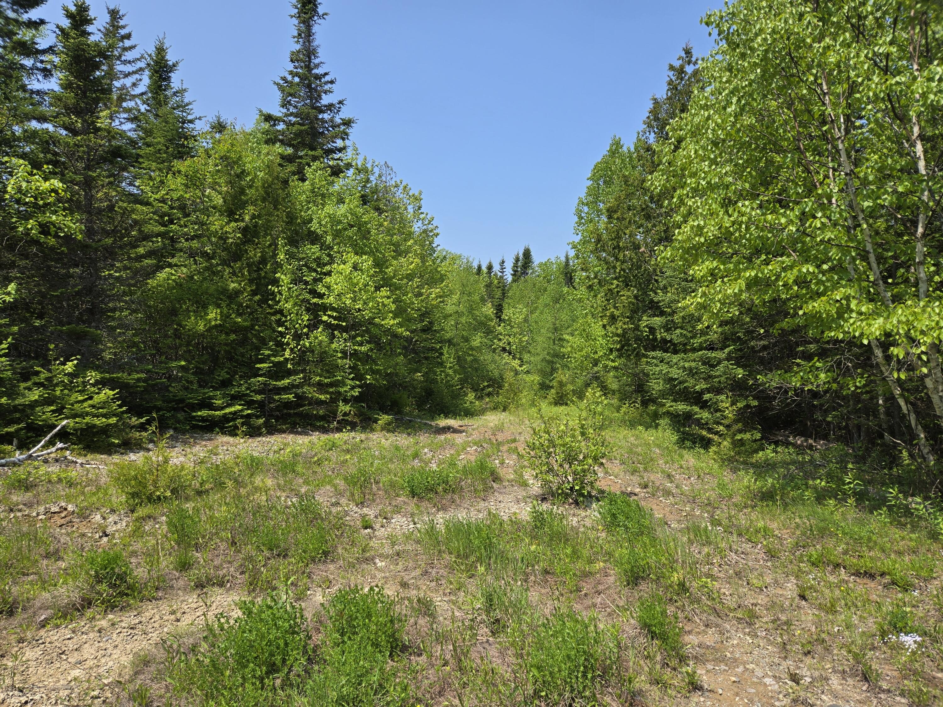 0 Map Wa032 Plan 01 Lot 103.1 Trescott Twp ME 04652