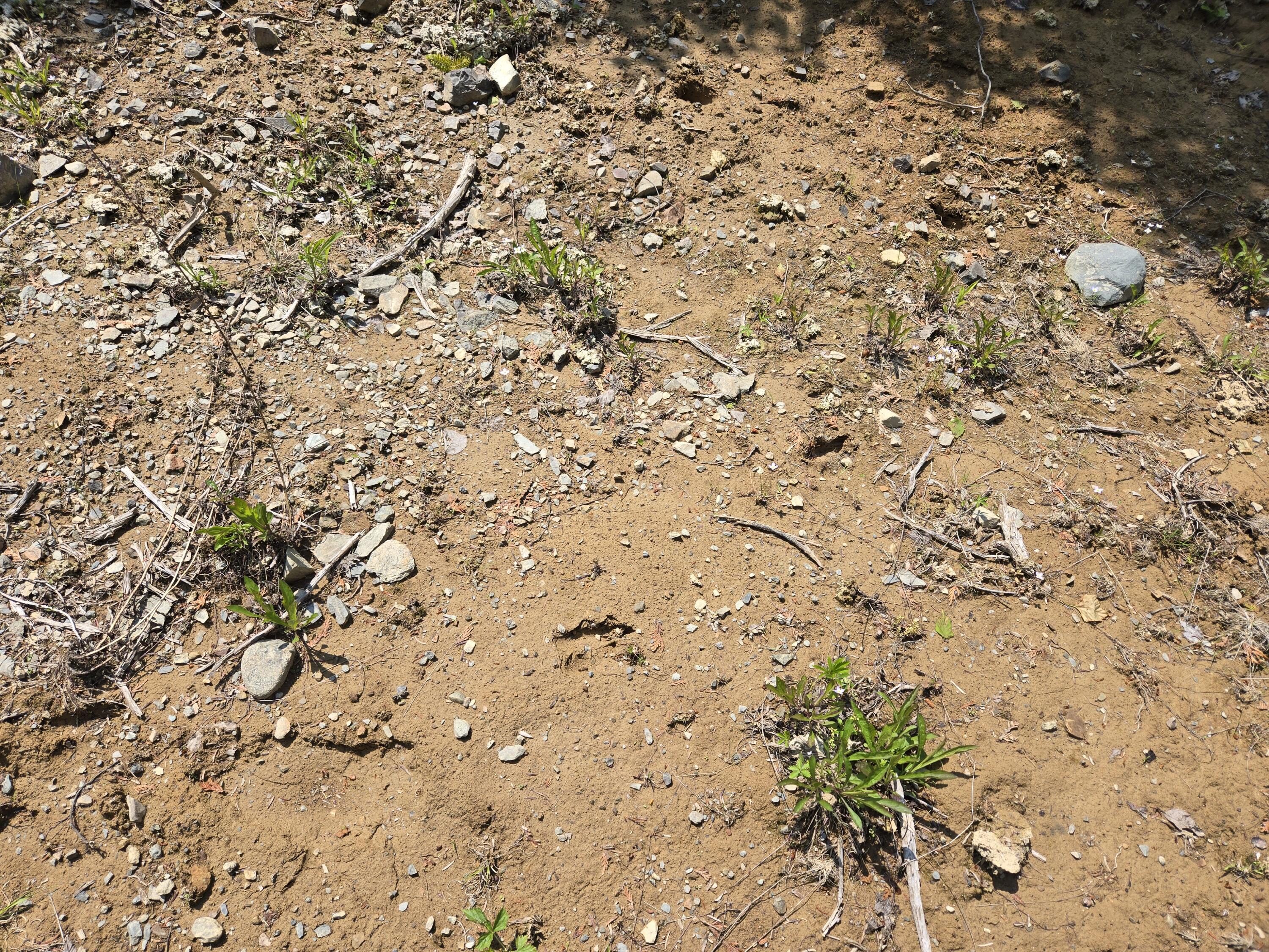 0 Map Wa032 Plan 01 Lot 103.1 Trescott Twp ME 04652