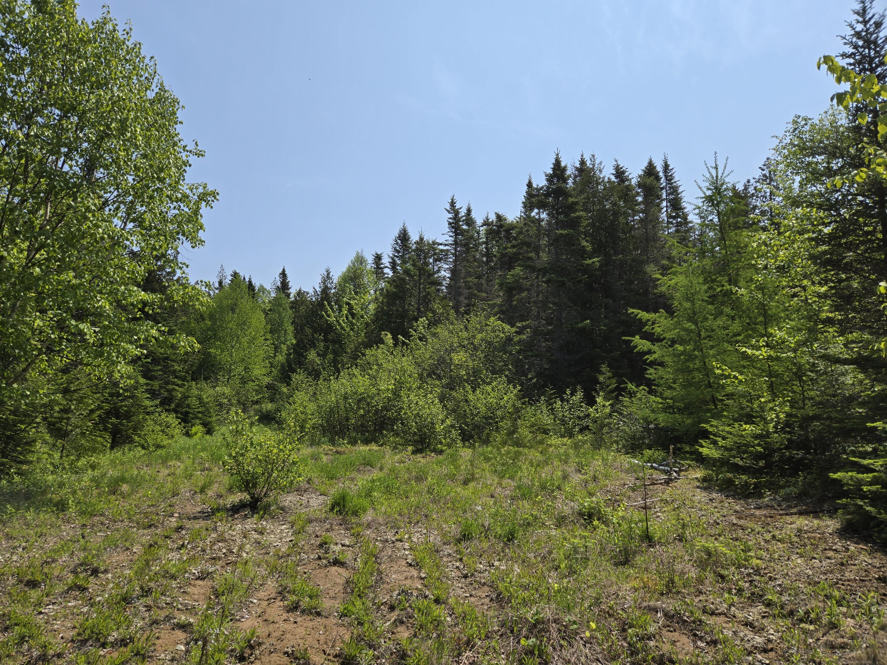 0 Map Wa032 Plan 01 Lot 103.1 Trescott Twp ME 04652