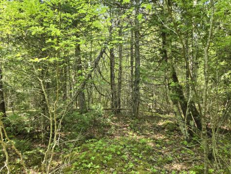 0 Map Wa032 Plan 01 Lot 103.1 Trescott Twp ME 04652