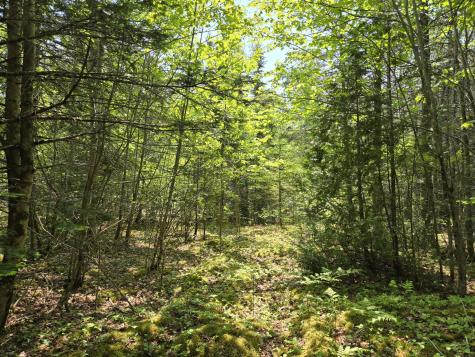 0 Map Wa032 Plan 01 Lot 103.1 Trescott Twp ME 04652