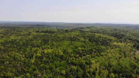 0 Map Wa032 Plan 01 Lot 103.1 Trescott Twp ME 04652