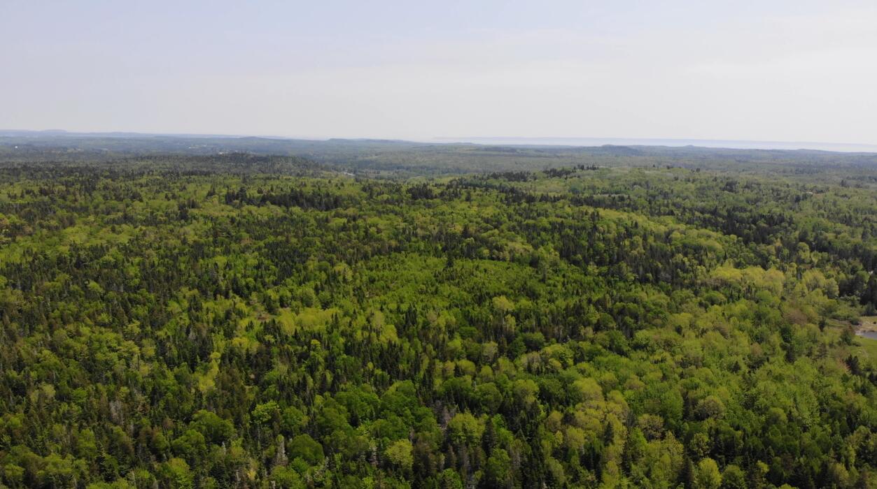 0 Map Wa032 Plan 01 Lot 103.1 Trescott Twp ME 04652