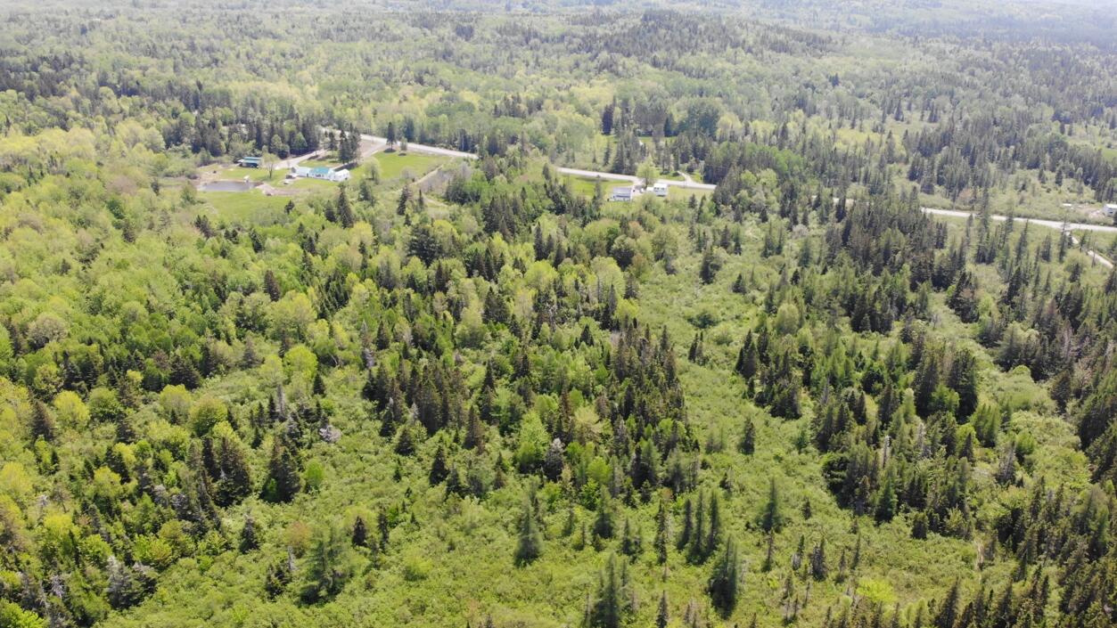 0 Map Wa032 Plan 01 Lot 103.1 Trescott Twp ME 04652