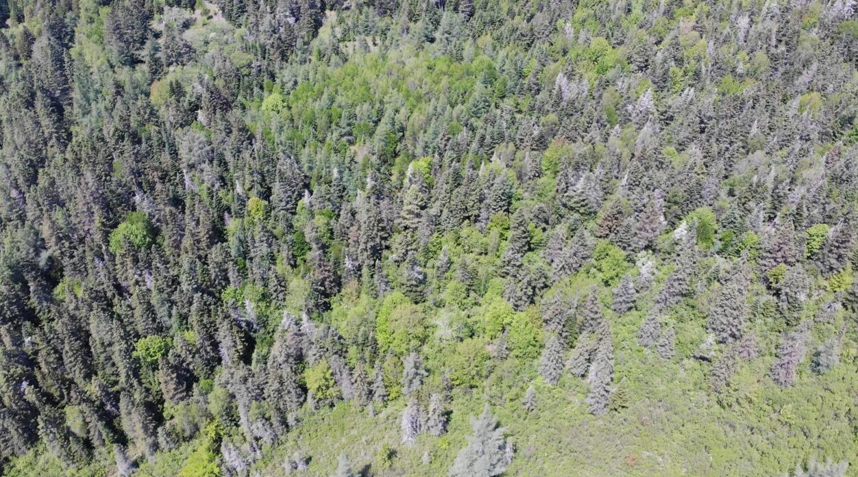 0 Map Wa032 Plan 01 Lot 103.1 Trescott Twp ME 04652