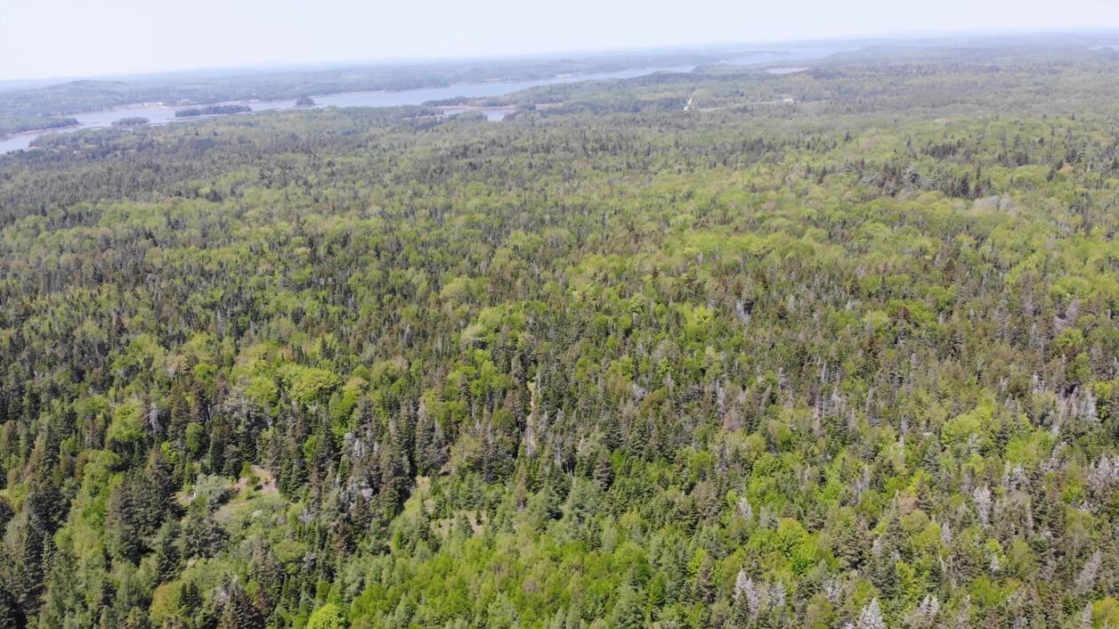 0 Map Wa032 Plan 01 Lot 103.1 Trescott Twp ME 04652