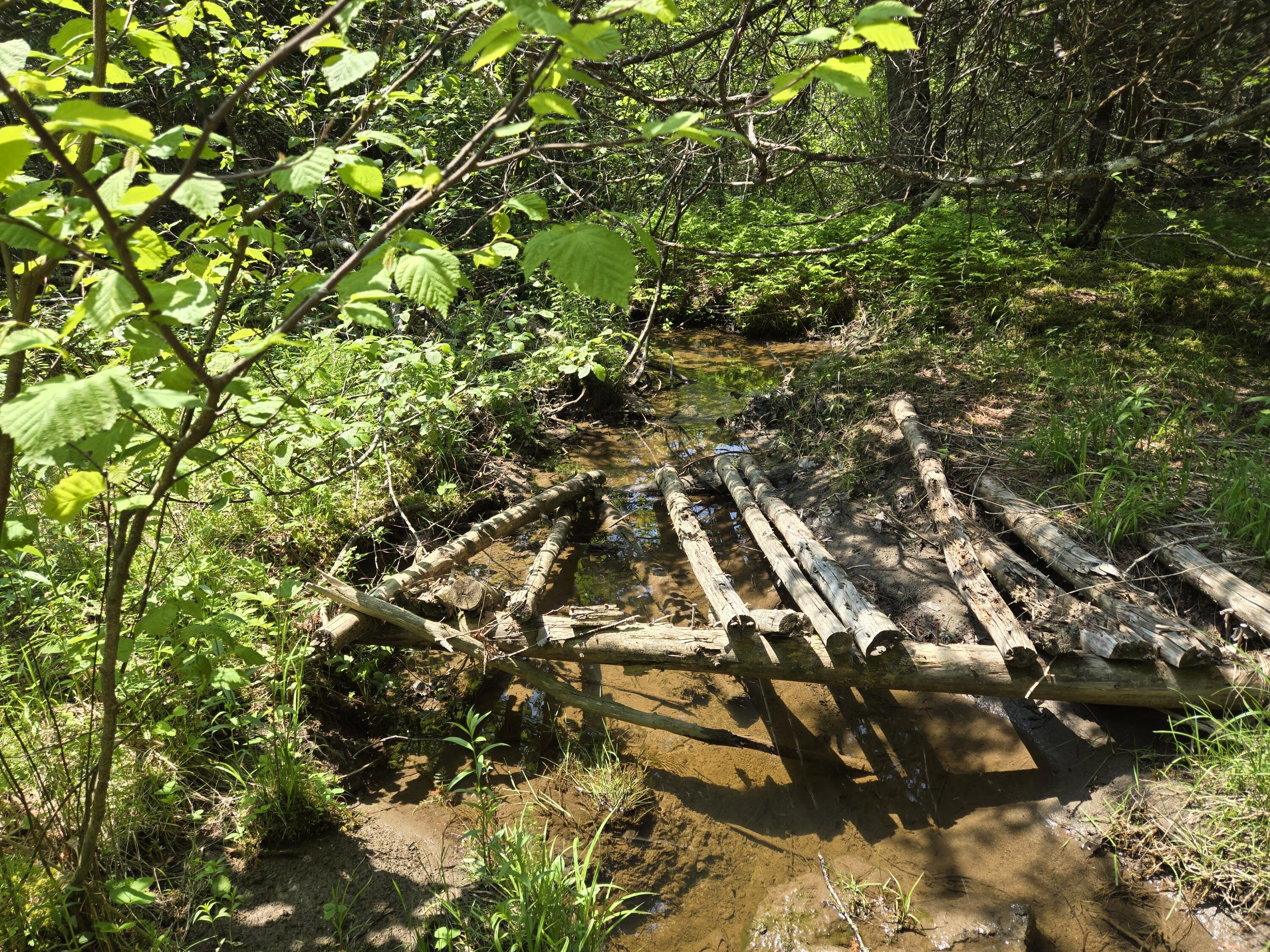 0 Map Wa032 Plan 01 Lot 103.1 Trescott Twp ME 04652