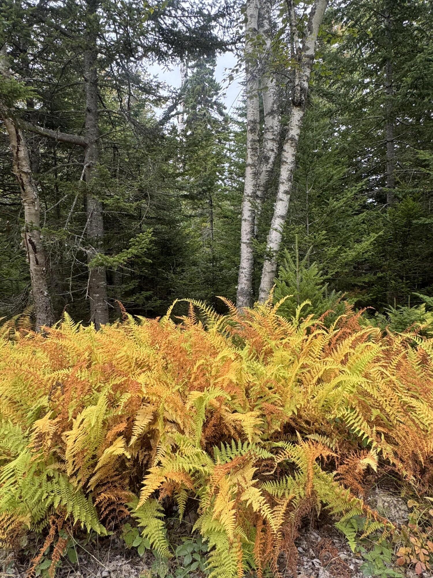 0 Perry's Corner Vinalhaven ME 04863