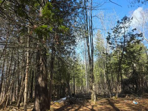 M18LOT 11 Main Street Clinton ME 04927