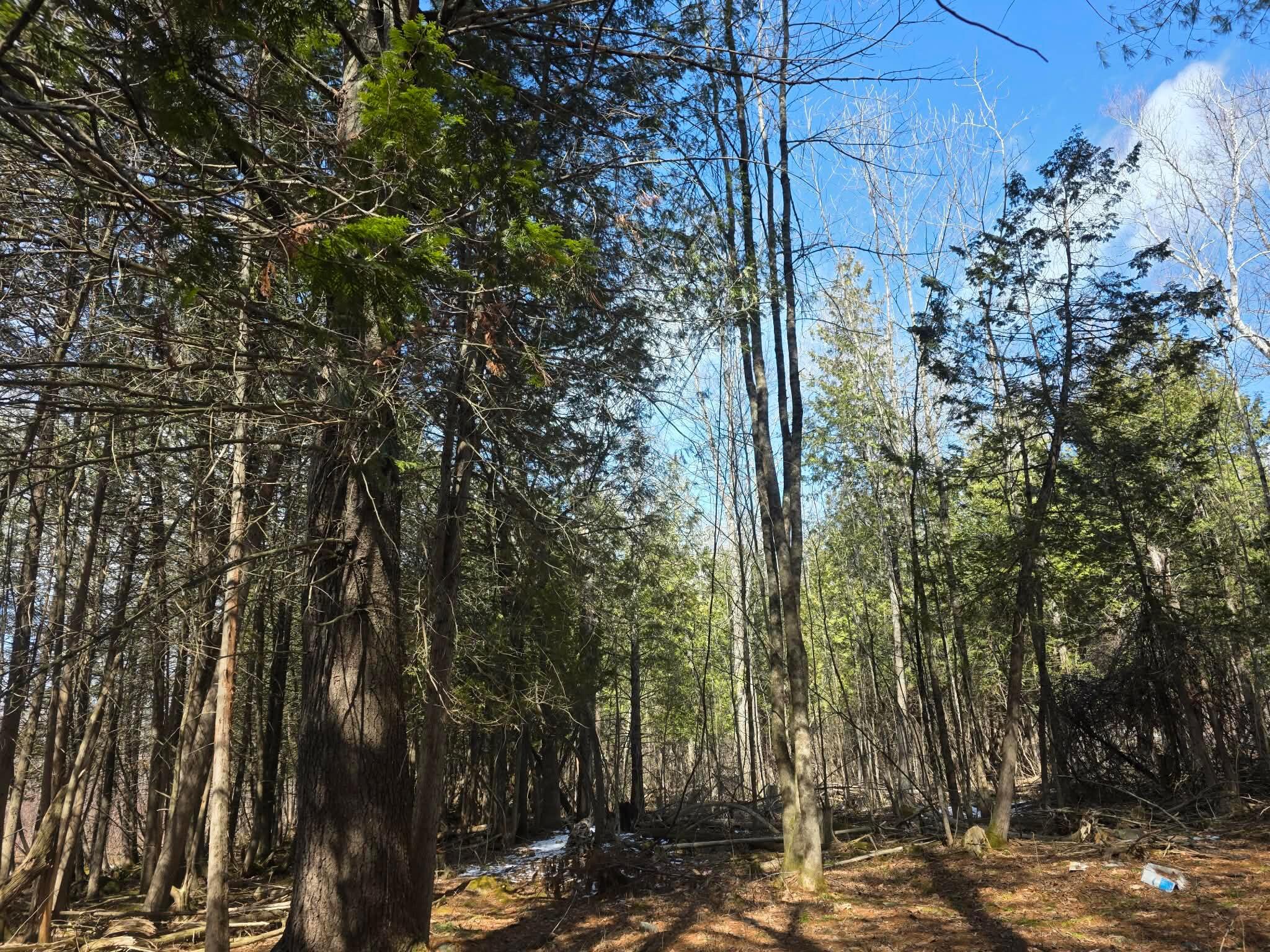 M18LOT 11 Main Street Clinton ME 04927