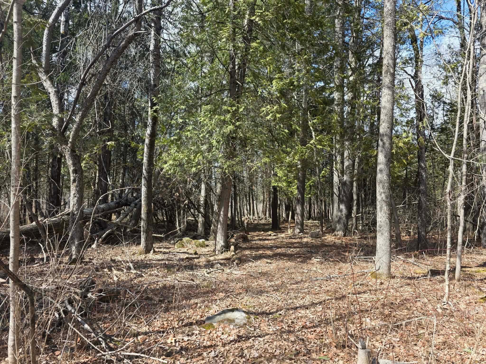 M18LOT 11 Main Street Clinton ME 04927