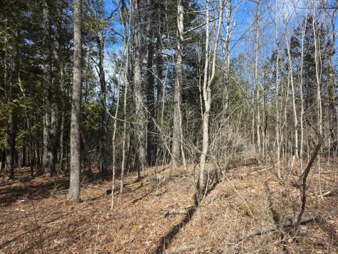 M18LOT 11 Main Street Clinton ME 04927