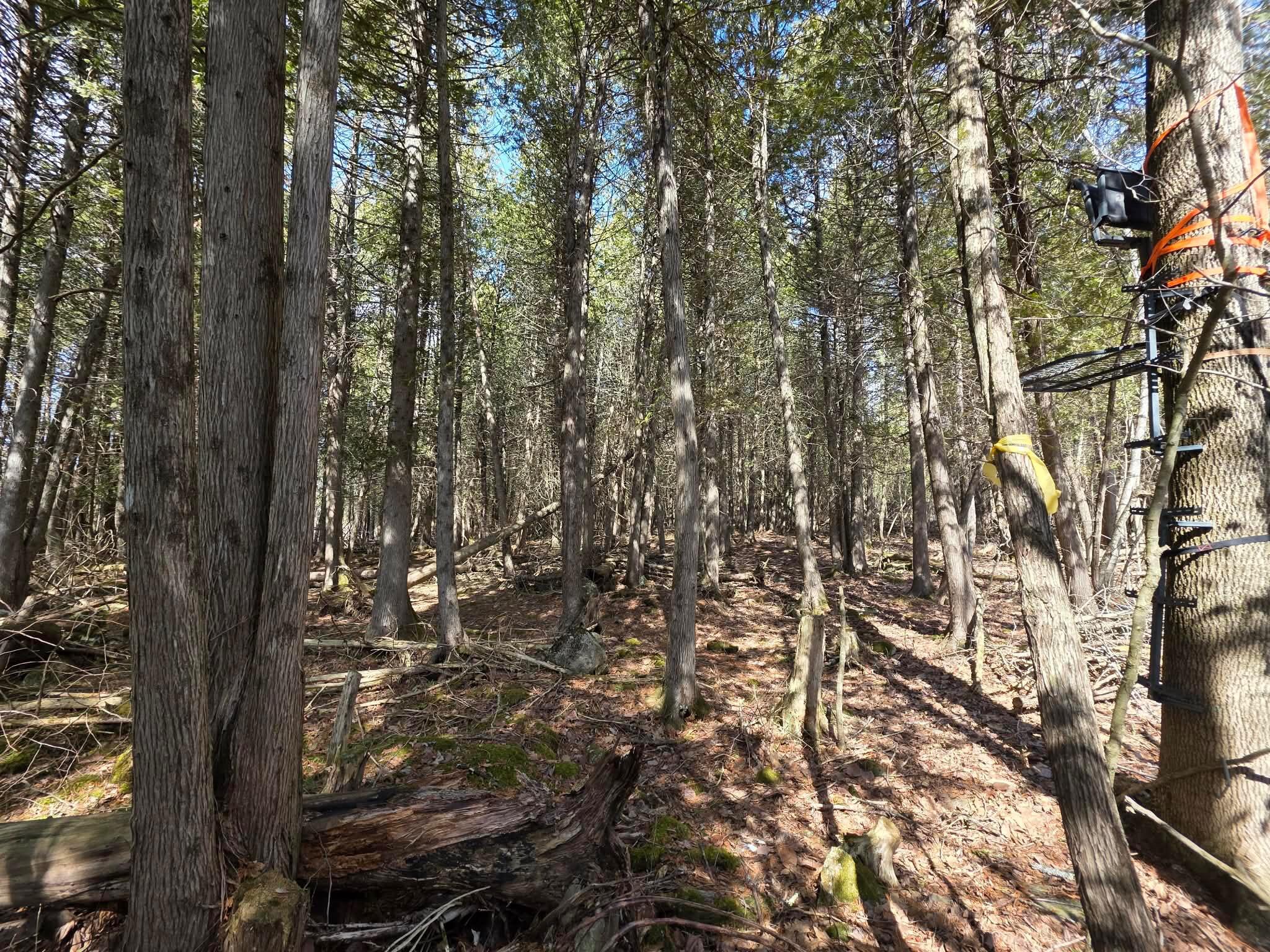 M18LOT 11 Main Street Clinton ME 04927