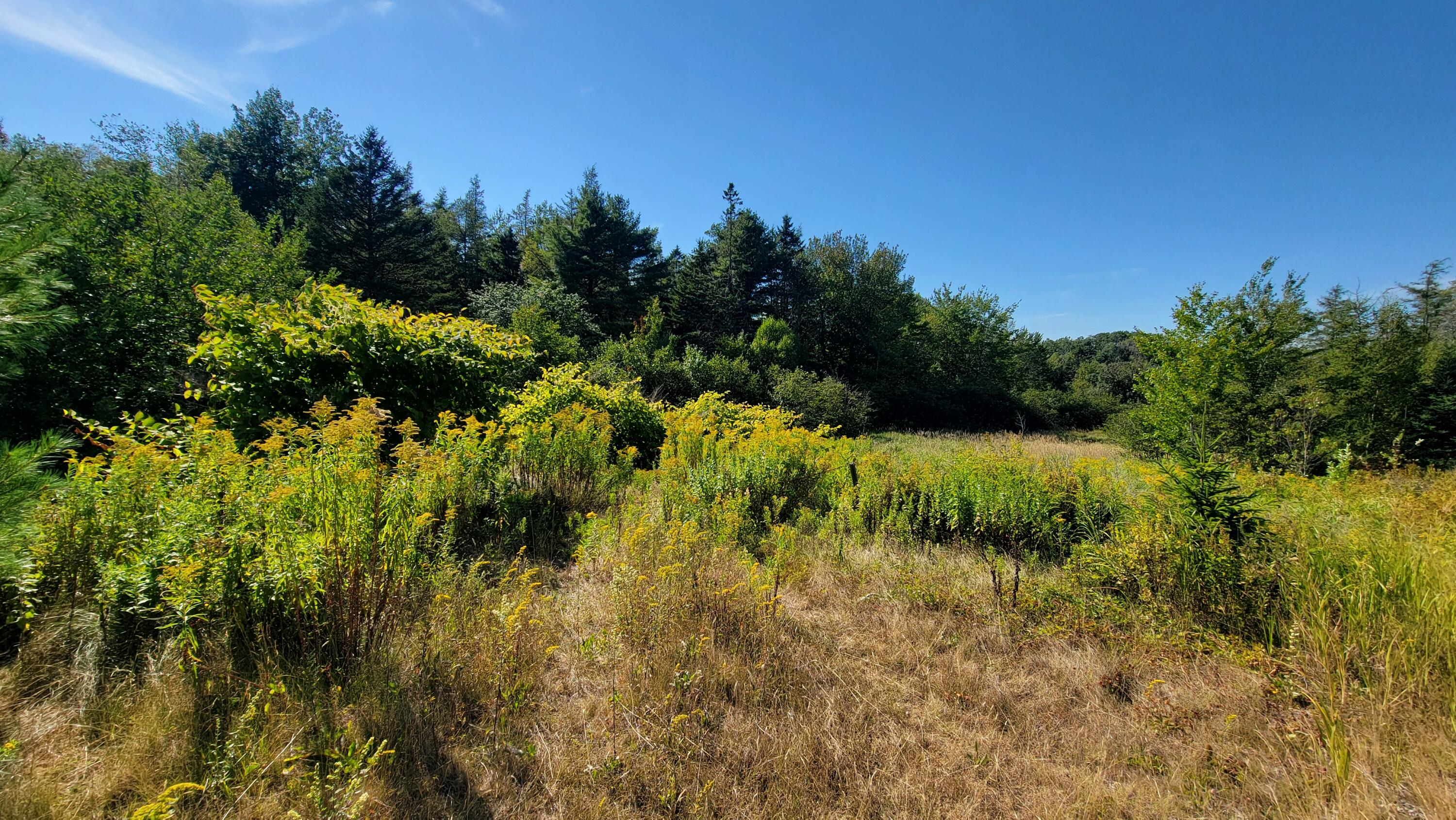 Lot 23 Bay Road Jonesboro ME 04648