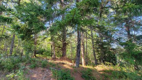 Lot 23 Bay Road Jonesboro ME 04648