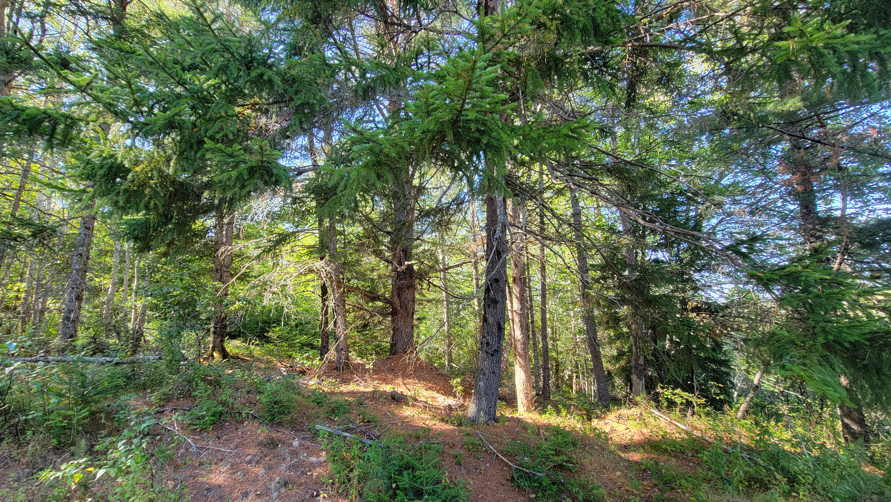 Lot 23 Bay Road Jonesboro ME 04648