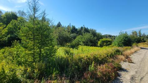 Lot 23 Bay Road Jonesboro ME 04648