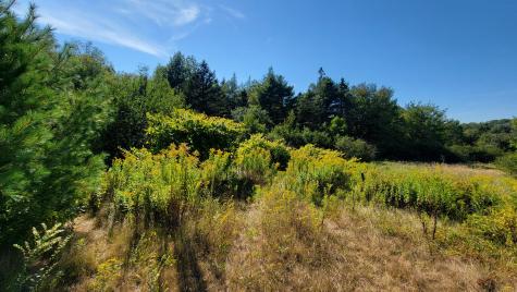 Lot 23 Bay Road Jonesboro ME 04648