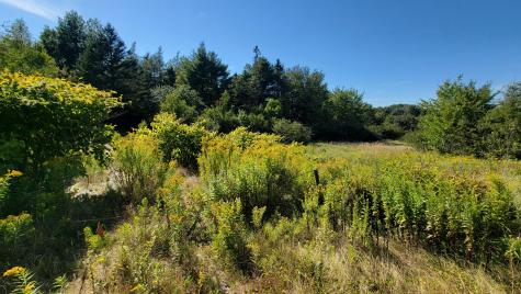 Lot 23 Bay Road Jonesboro ME 04648