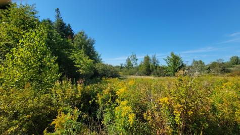 Lot 23 Bay Road Jonesboro ME 04648