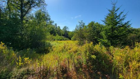 Lot 23 Bay Road Jonesboro ME 04648