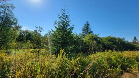 Lot 23 Bay Road Jonesboro ME 04648